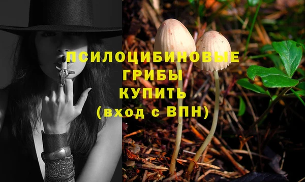 прущие крисы Горно-Алтайск